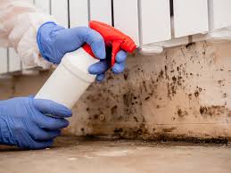 Gainesville, GA Mold Removal & Remediation Company